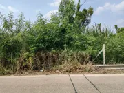 ขาย/เช่า ที่ดิน ตำบลคลองสาม อำเภอคลองหลวง จังหวัดปทุมธานี