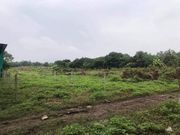 ที่ดิน​ติด​น้ำ​ บรรยากาศ​ร่มรื่น​เย็นสบาย​ ขายยกผืน 2.5 ล้าน 