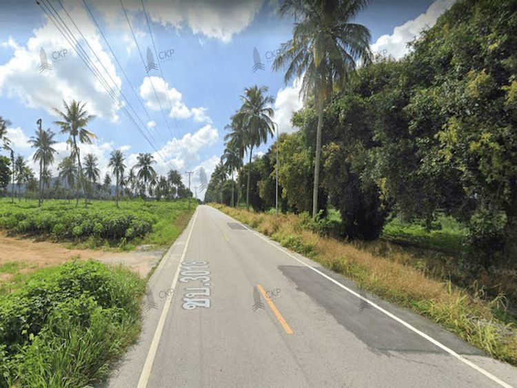 ขาย ที่ดินเปล่า เหมาะสำหรับทำเกษตรกรรมและการเพาะปลูก 2 ไร่ ต.คลองกิ่ว, ภาพที่ 4