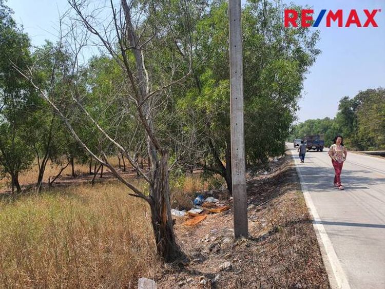 ขายที่ดิน 8-1-97 ไร่ ห่างถนนปทุมธานี-บางปะหัน สาย 347 เพียง 700 เมตร, ภาพที่ 4