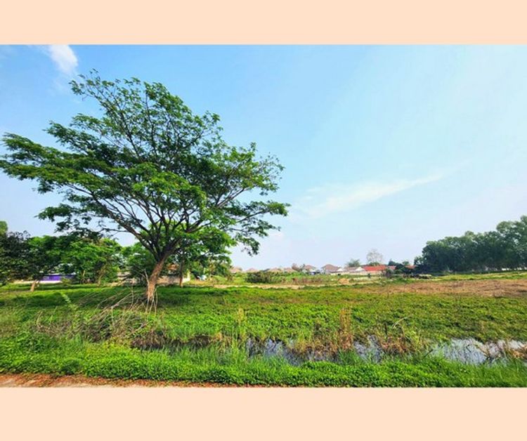 ที่ดินวิวทะเลสาบ @ เชียงใหม่ เป็นการเริ่มต้นครอบครัวในทำเลที่ดี สงบ, ภาพที่ 4