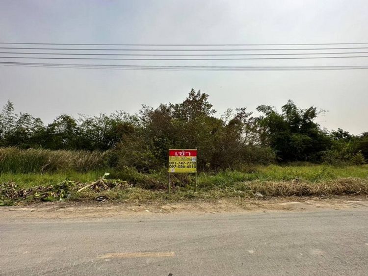 ให้เช่าที่ดินระยะยาว 140 ตร.วา ซอยวัดบางค้อ  บางใหญ่ นนทบุรี   ZW089, ภาพที่ 4