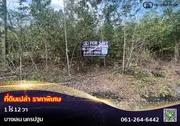 ขาย ที่ดิน ตำบลบัวปากท่า อำเภอบางเลน จังหวัดนครปฐม