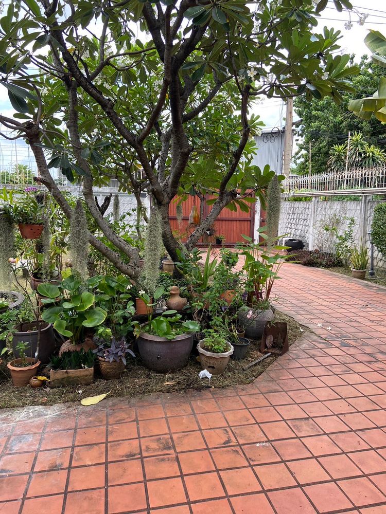 🏡 ขายบ้านพร้อม ที่ดิน ขนาด 103 ตรว. พร้อมสวนหน้าบ้าน 8. , ภาพที่ 4