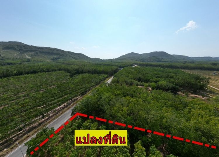 ขายถูกกว่าตลาด สวนยางติดถนน วิวเขา ไร่ละ 700,000 บาท เนื้อที่ 8-2-30 , ภาพที่ 4