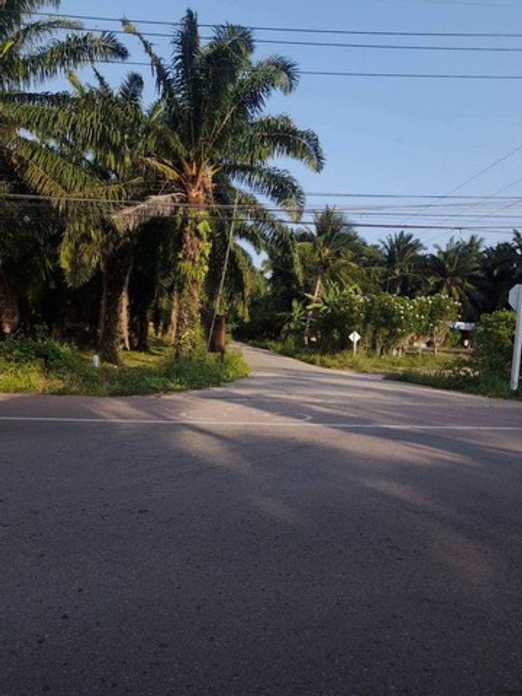 ขายด่วนที่ทำเลทองติดถนนเรียบริมทะเลอ่าวไทย ใกล้หาดทุ่งซาง อ่าวไข่เน่า , ภาพที่ 4