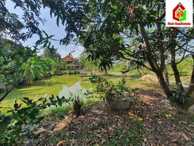 ขายถูกที่ดินสี่เหลี่ยมผืนผ้าพร้อมสวน ราคาต่ำกว่าราคาประเมิน 8/1 457.6, ภาพที่ 4