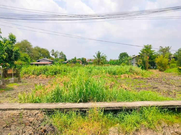 ขาย ที่ดินเปล่า 50 ตร.ว. เหมาะสำหรับสร้างที่อยู่อาศัย แขวงคลองจั่น, ภาพที่ 4