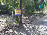 ขาย ที่ดิน ตำบลบึงบา อำเภอหนองเสือ จังหวัดปทุมธานี