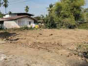 ขายที่ดินดี ร่มรื่น ใกล้แหล่งชุมชน บ้านท่าโพธิ์ เมืองเก่า พิจิตร