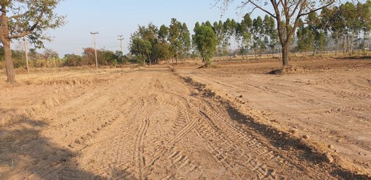 ขายที่ดิน 1 ไร่ 380,000บ. ถนน ไฟฟ้า ใกล้ถนน11 ต.หนองบัว อ.หนองบัว, ภาพที่ 4