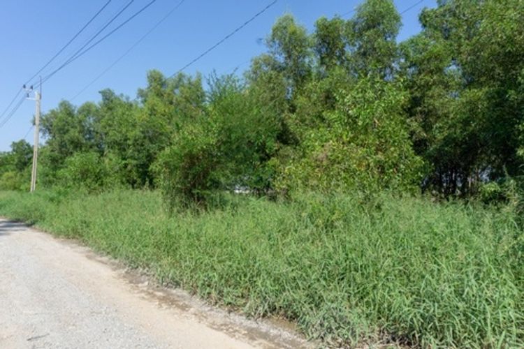 ขาย ที่ดินเปล่า 120 ตร.วา อำเภอไทรน้อย บนถนนเส้น 346 เหมาะสร้างบ้าน , ภาพที่ 4