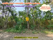 ขายที่ดิน 2ไร่2งาน คลอง10หนองเสือ ถนนรังสิต-นครนายก 
