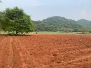 ขาย ที่ดิน ตำบลขนงพระ อำเภอปากช่อง จังหวัดนครราชสีมา