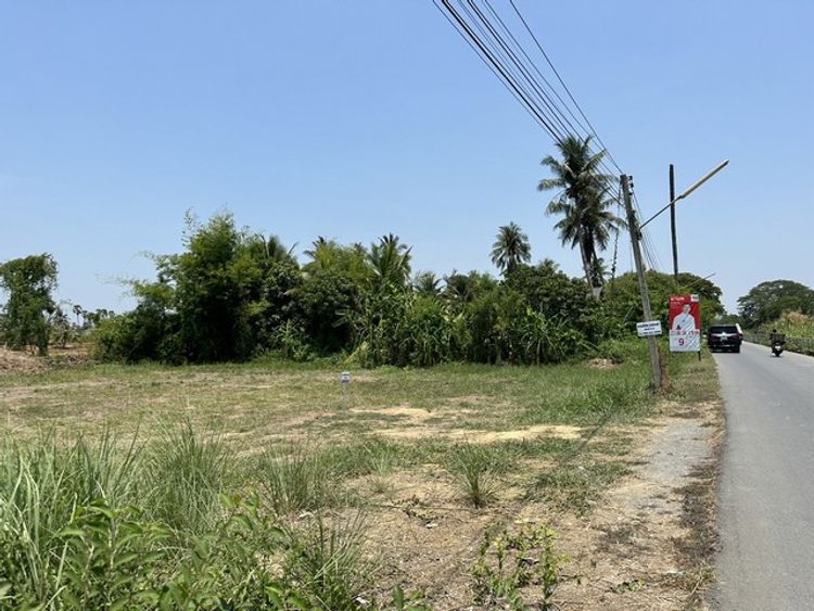 ขายๆที่ดินย่านนครชัยศรี ราคาถูก ห่างจากตลาดนครชัยศรี 2 km., ภาพที่ 4