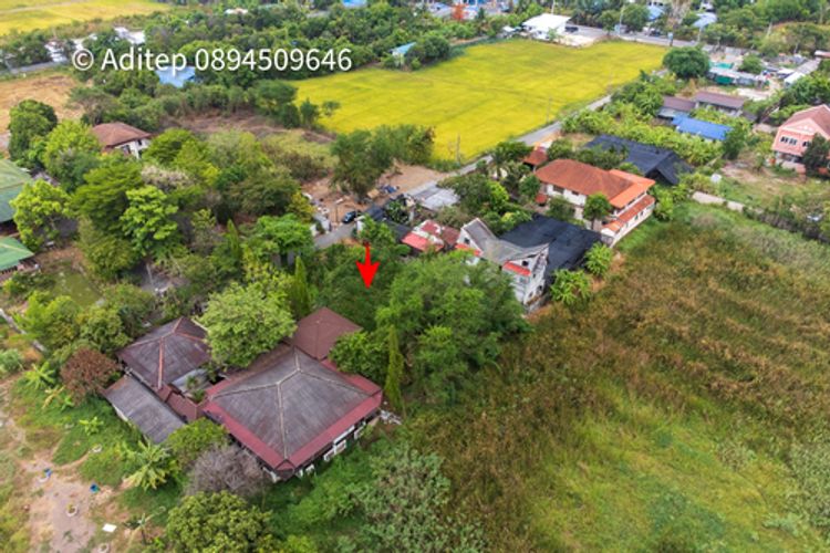 ขายที่ดิน 200 ตรว. ซอยวัดลาดปลาดุก นนทบุรี เหมาะปลูกบ้าน , ภาพที่ 4