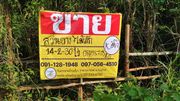 ขายสวนยาง+ไม้สัก 14-2-30ไร่ ห่างจากถนนแจ้งสนิท2 กม. ใกล้หมู่บ้านใหม่ชุมพร อ.เมือง จ.ยโสธร ZE484