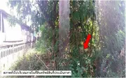 ขายที่ดินว่างเปล่า ใกล้ศาลากลางจังหวัดยโสธร เมืองยโสธร ยโสธร PSC08904
