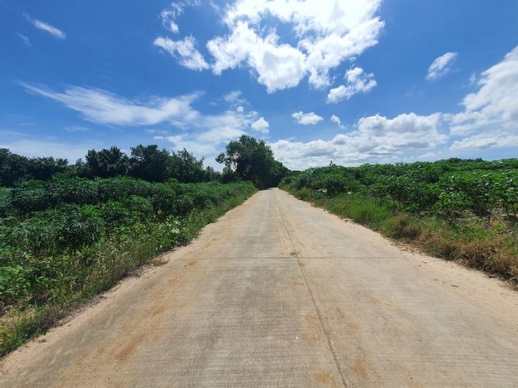 ขายถูกที่ดินแปลงเล็ก หาดพยูน สำหรับสร้างบ้าน 232 ตรว., ภาพที่ 4