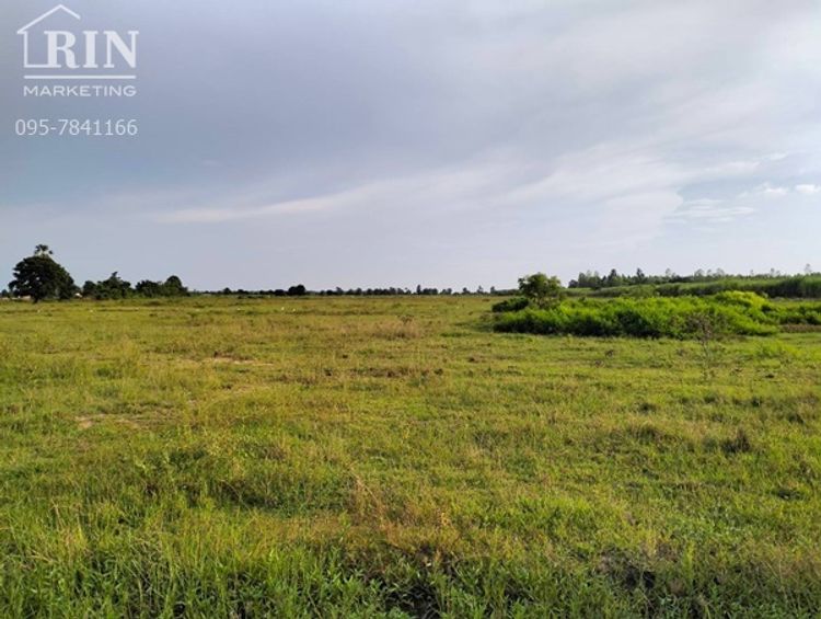 ขายที่ดินทำเลทอง ตำบลหนองแซง อำเภอหันคา จังหวัดชัยนาท ขายที่ดินขนาด 54, ภาพที่ 4