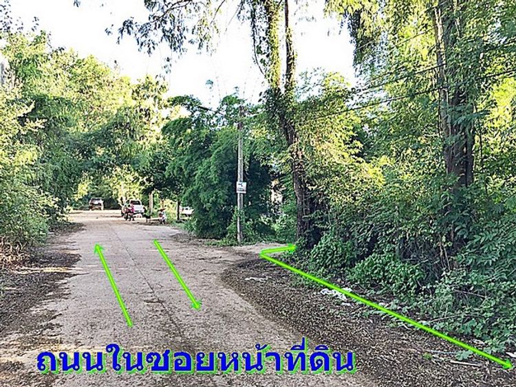 ขายที่ดินมุกดาหาร ติดแม่น้ำโขง ด่วน! 8.5 ล้านจาก 15 ล้าน ทำเลใน ใกล้, ภาพที่ 4