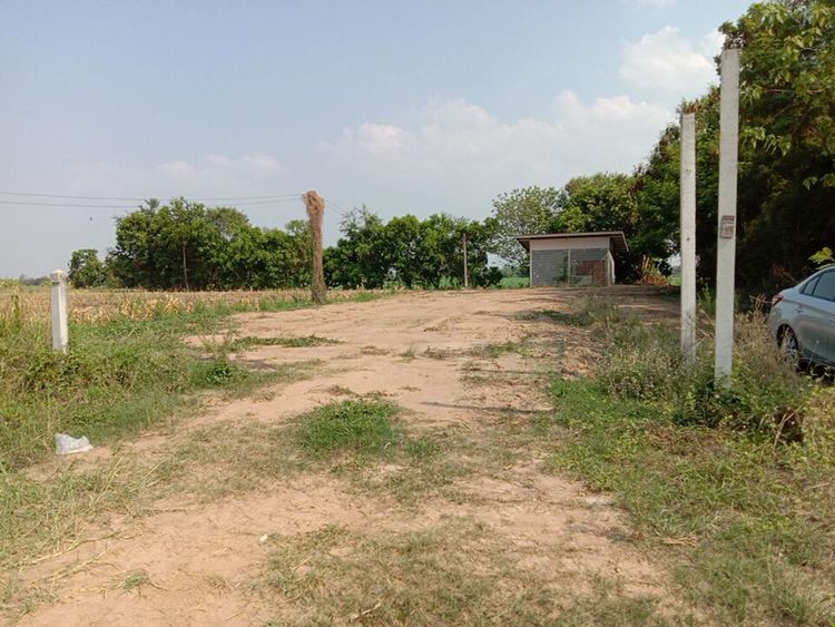 ขาย ที่ดิน ตำบลคลองมะพลับ อำเภอศรีนคร จังหวัดสุโขทัย, ภาพที่ 4