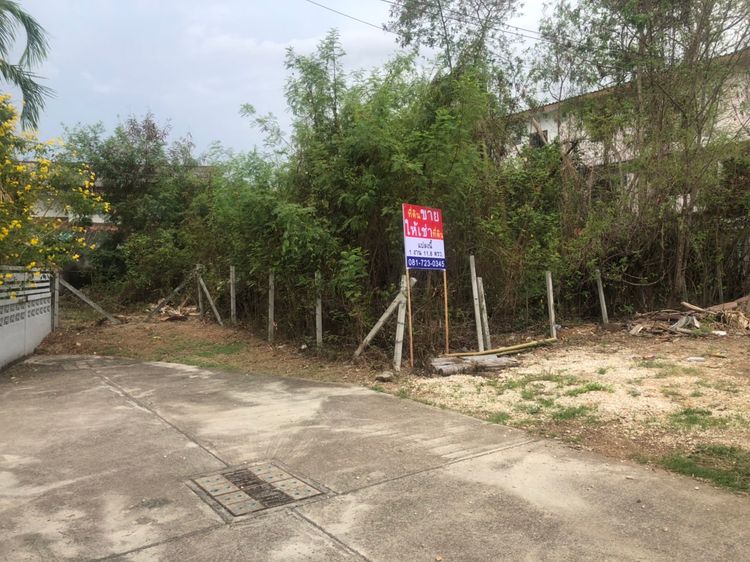 ขายและให้เช่า ที่ดิน ตำบลพระบาท อำเภอเมืองลำปาง จังหวัดลำปาง, ภาพที่ 4