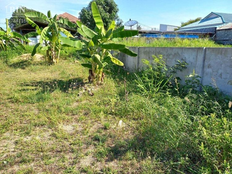 ขาย ที่ดิน ตำบลหนองปลาไหล อำเภอบางละมุง จังหวัดชลบุรี, ภาพที่ 4