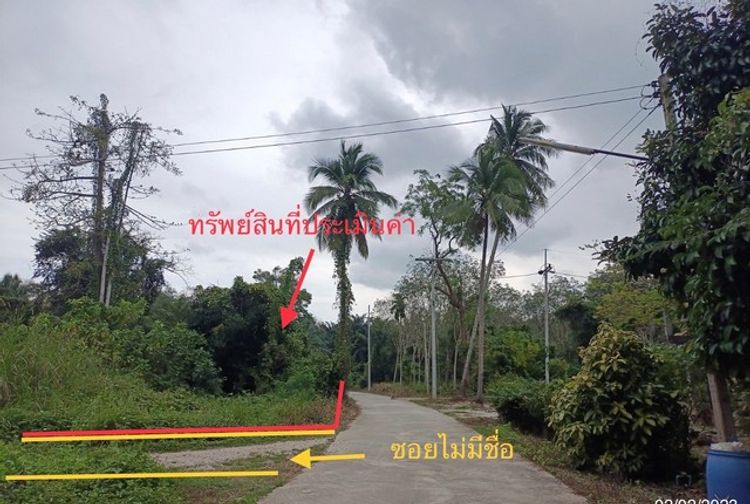 ขายที่ดินว่างเปล่า   อำเภอขนอม นครศรีธรรมราช (PKK01-11569), ภาพที่ 4