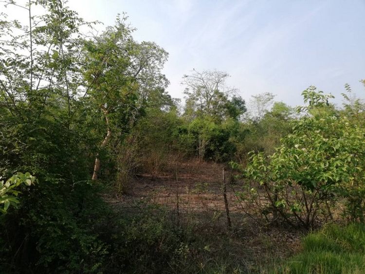ที่ดินพร้อมขายตัวเมืองบ้านตาก ติดถนนดำ ทางหลวงชนบท คมนาคมสะดวกมาก 36  , ภาพที่ 4