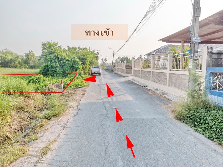 ขาย ที่ดิน ซอยสังฆสันติสุข6 แขวงกระทุ่มราย เขตหนองจอก กรุงเทพมหานคร, ภาพที่ 4