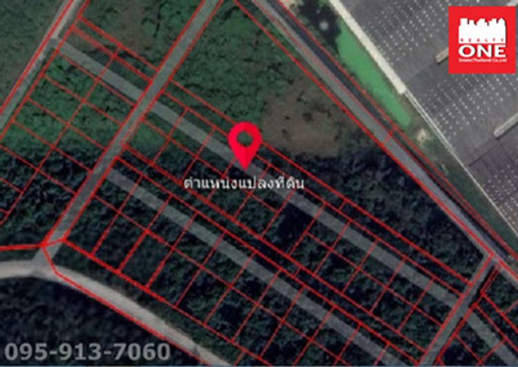 ขาย ที่ดินเปล่า ต.เขาคันทรง อ.ศรีราชา จ.ชลบุรี 20110  ที่ดิน 1 งาน ขาย, ภาพที่ 4