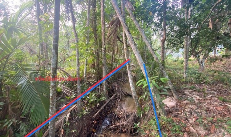 ขายที่ดินว่างเปล่า  อำเภอรัตภูมิ สงขลา (PKK01-11286), ภาพที่ 4