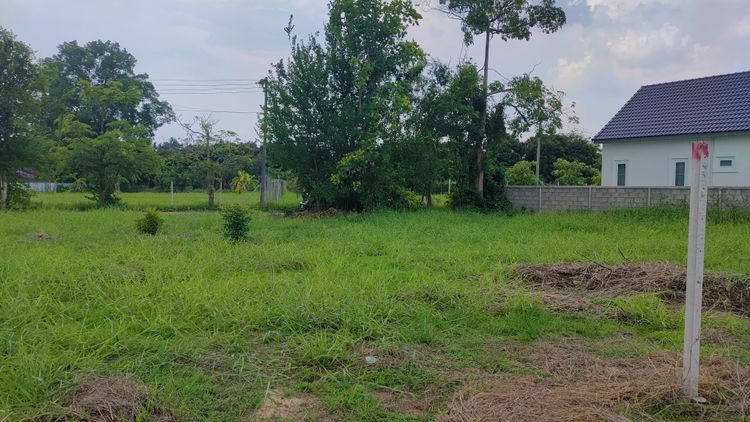 ขายที่ดิน พร้อมสร้างบ้าน หมู่บ้านธารดง กาดฝรั่ง (Kad Farang Village), ภาพที่ 4