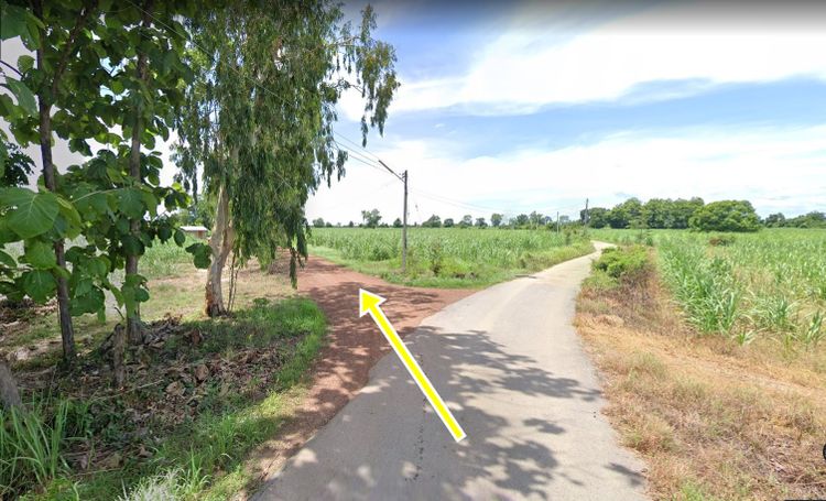ขาย ที่ดิน ตำบลหนองกุลา อำเภอบางระกำ จังหวัดพิษณุโลก, ภาพที่ 4