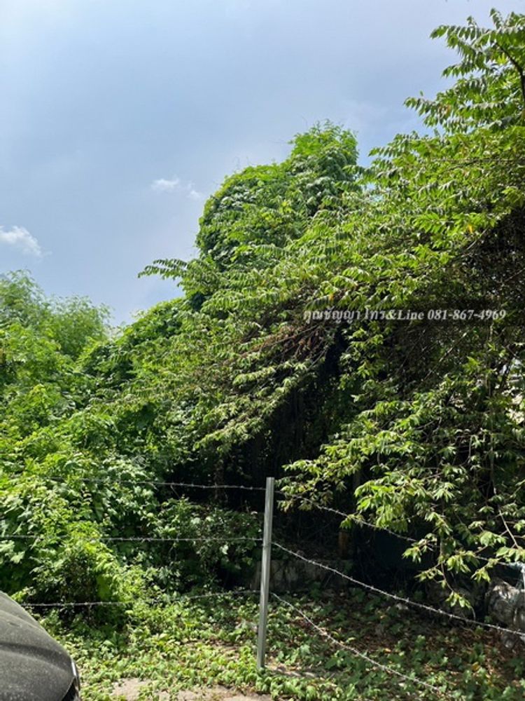 ขายที่ดิน ซอยจันทน์45 เนื้อที่ 75.6 ตรว. 16x40 เมตร ทำเลดีมากๆ, ภาพที่ 4