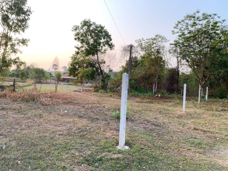 ขาย ที่ดิน ตำบลบุ่ง อำเภอเมืองอำนาจเจริญ จังหวัดอำนาจเจริญ, ภาพที่ 4