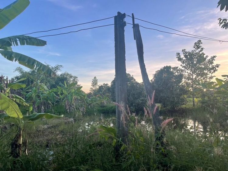 ขาย ที่ดินเปล่า ซอยสุวินทวงศ์47 ขนาด 1 ไร่ หนองจอก กรุงเทพ (แปลงที่2/2), ภาพที่ 4