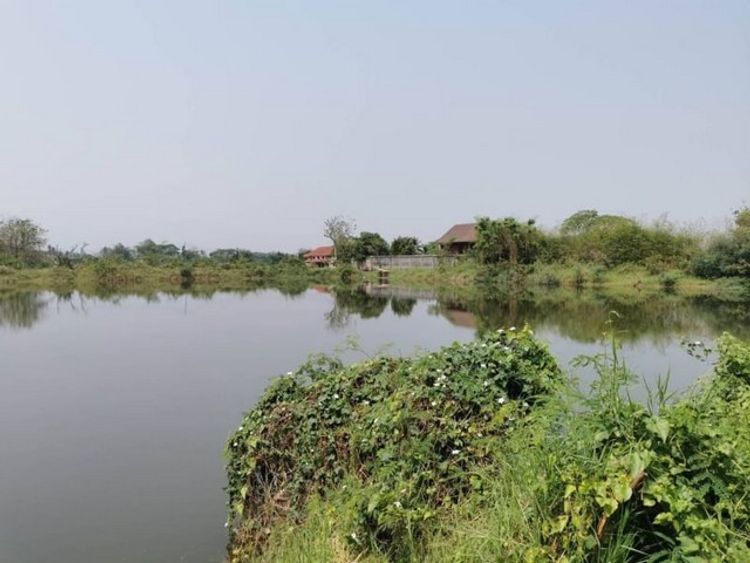 ขายที่ดินบ่อปลา ลึก 2 เมตร  สันทรายหลวง  สันทราย​  ราคา 9.5 ล้าน, ภาพที่ 4