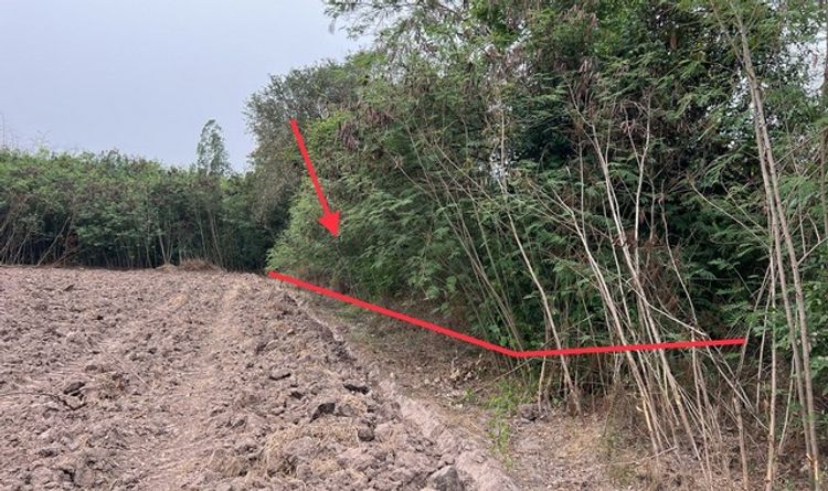 ขายที่ดินว่างเปล่า   อำเภอหันคา ชัยนาท (PKK01-11565), ภาพที่ 4