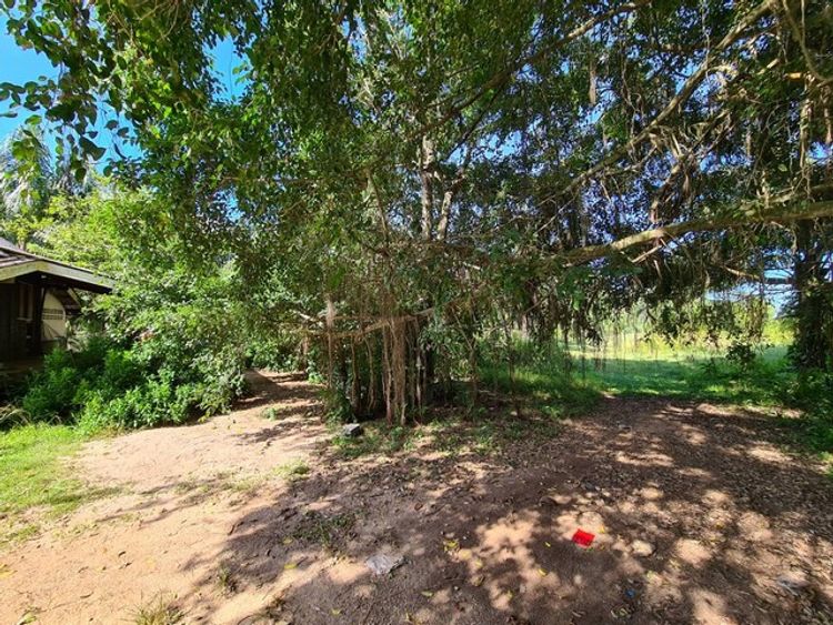 ขายบ้านพักอาศัย            อำเภอสิชล     นครศรีธรรมราช, ภาพที่ 4