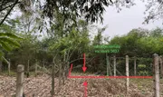 ขายที่ดินว่างเปล่า   อำเภอหันคา ชัยนาท (PKK01-11565)