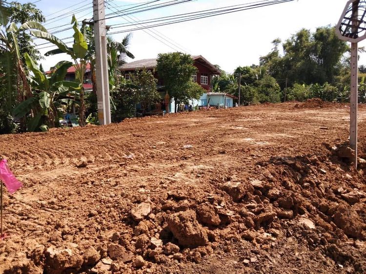 ขาย ที่ดิน ตำบลเขาพระ อำเภอเดิมบางนางบวช จังหวัดสุพรรณบุรี, ภาพที่ 4