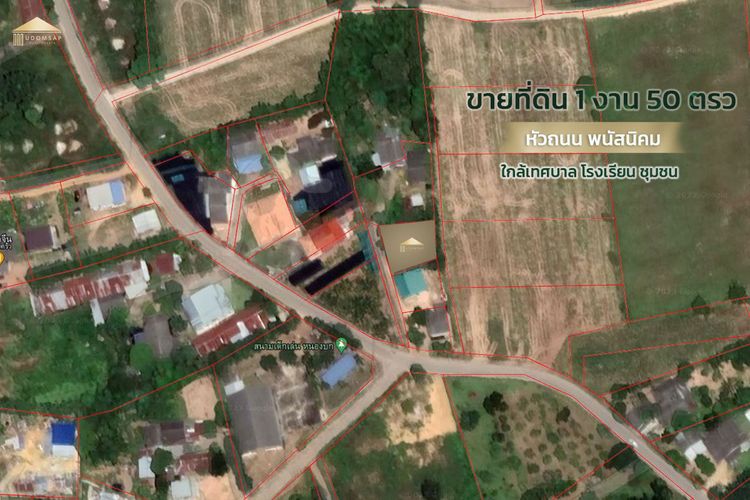ขาย ที่ดิน ตำบลหัวถนน อำเภอพนัสนิคม จังหวัดชลบุรี, ภาพที่ 4