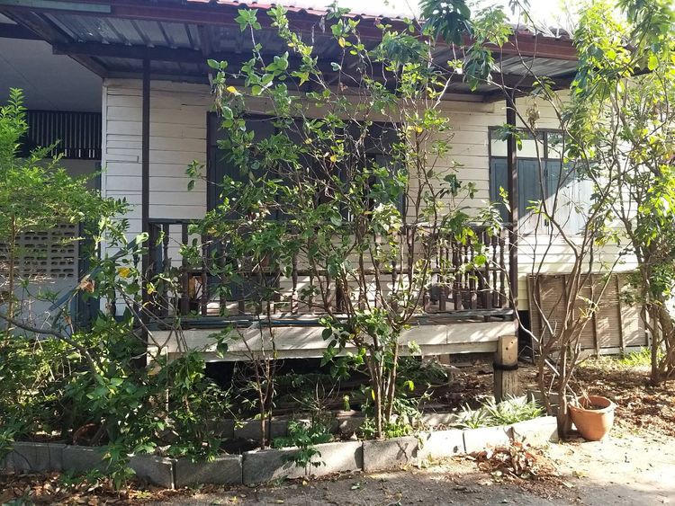 ให้เช่า บ้านเดี่ยว ใกล้โรงพยาบาลหนองคาย, ภาพที่ 4