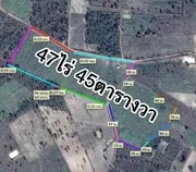 84972 - ขาย ที่ดินเปล่า 47 ไร่ 45 ตารางวา ตำบลนาคำไฮ เมืองหนองบัวลำภู