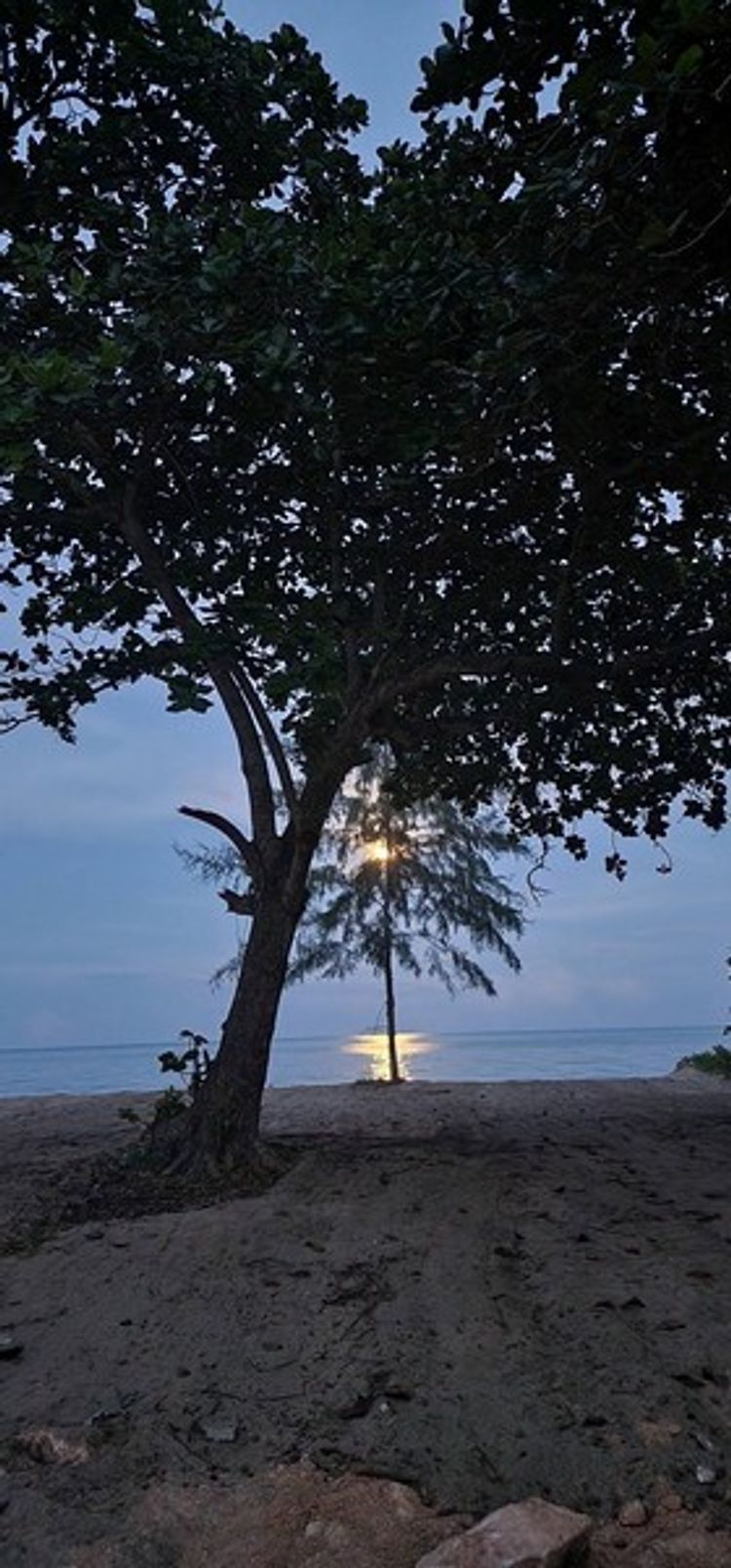 ขายที่ดินติดชายหาดพร้อมหาดทรายสวยๆ บ้านหนองบัว อ.ละเเม จ.ชุมพร  361, ภาพที่ 4