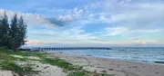 ขายที่ดินติดชายหาดพร้อมหาดทรายสวยๆ บ้านหนองบัว อ.ละเเม จ.ชุมพร  361 ตรว. ถูกสวยทำเลดี
