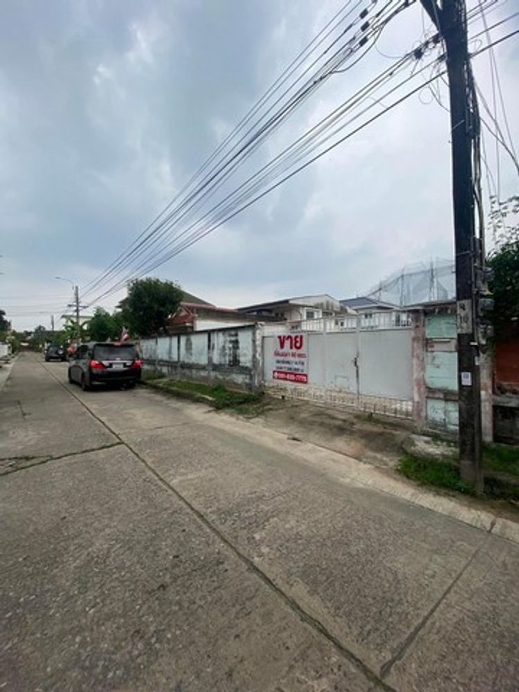 ขายที่ดิน หมู่บ้าน เสนานิเวศน์ โครงการ 1 ซ.116 เขตลาดพร้าว กรุงเทพ , ภาพที่ 4