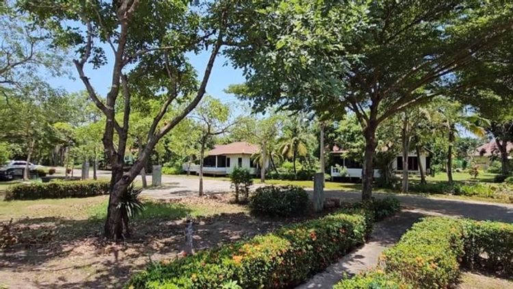 บ้านสวนสวยขนาดกำลังดี 200 ตรว ต.บ้านพร้าว อ.บ้านนา จ.นครนายก, ภาพที่ 4